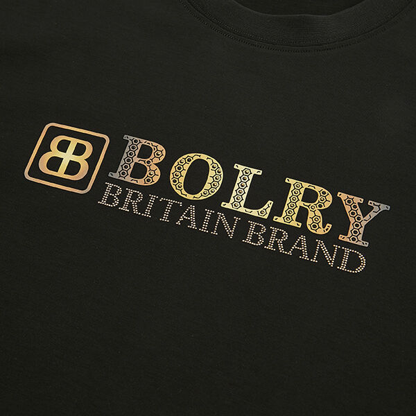 High Performance T-Shirts Wholesale Anti-Wrinkle Heavyweight Customized T-Shirt 300 Gsm