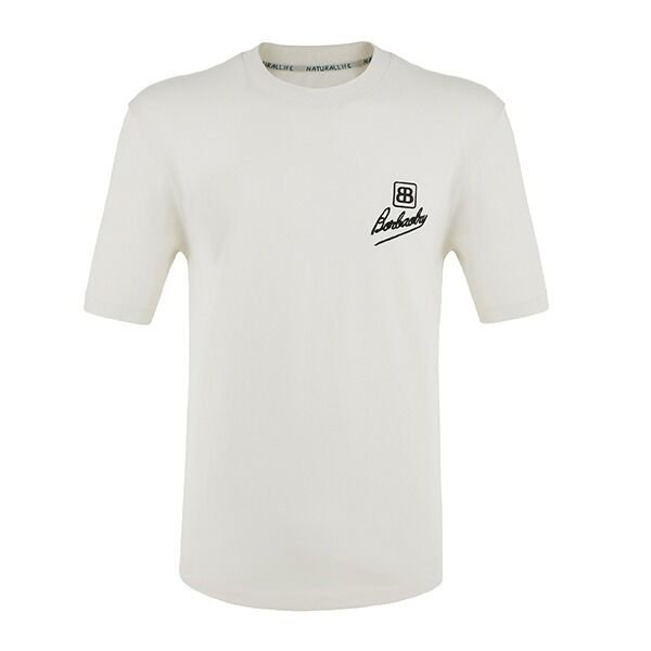 Men's Casual 100% Cotton 250 Gsm Oversized Fashion Essential Short Sleeve T Shirt Custom Puff Embroidered